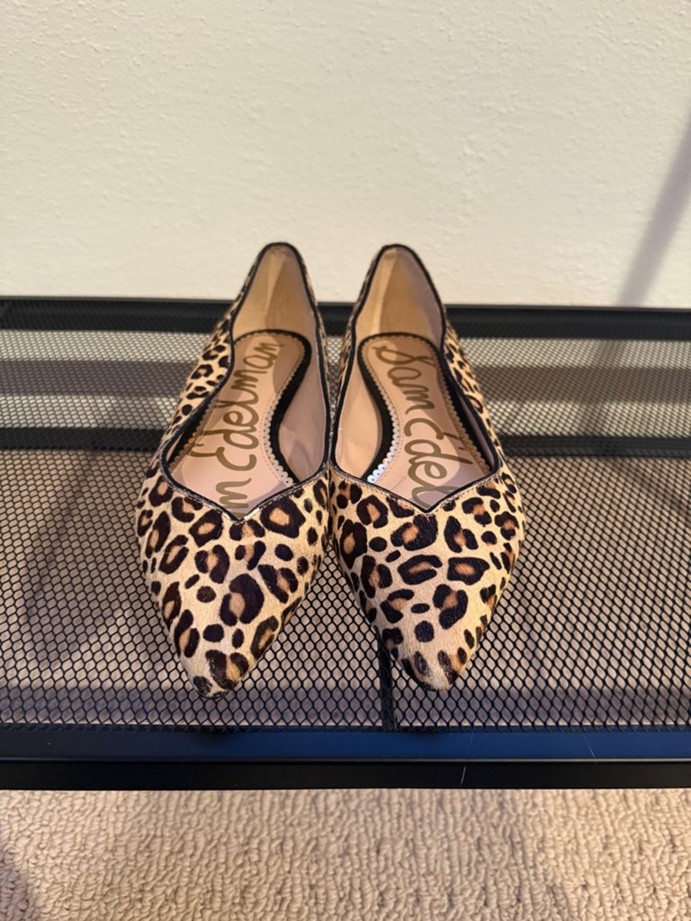 Sam Edelman Riza Pointed Flats